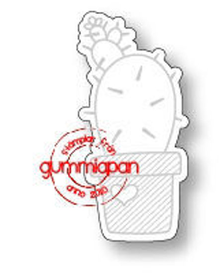 Afbeeldingen van Dies to Cactus with flower