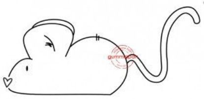 Afbeeldingen van Muis - stempel (normaal €3,00)