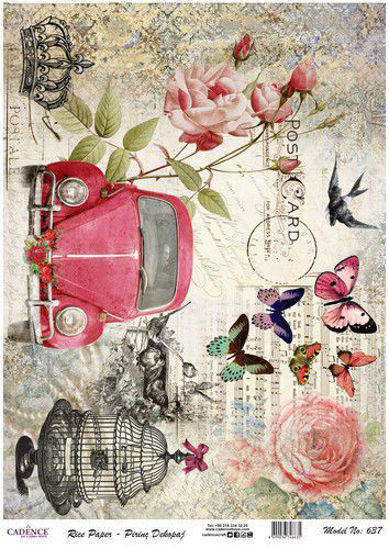 VW beetle - roses