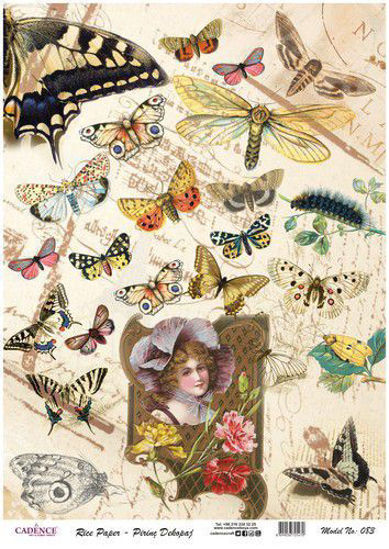 Vintage butterflies