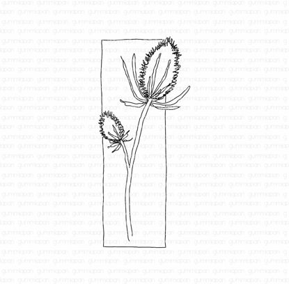 Eryngiums flower in a frame