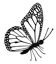 Flutterby Miniature - Lavinia Stamp - Lav444