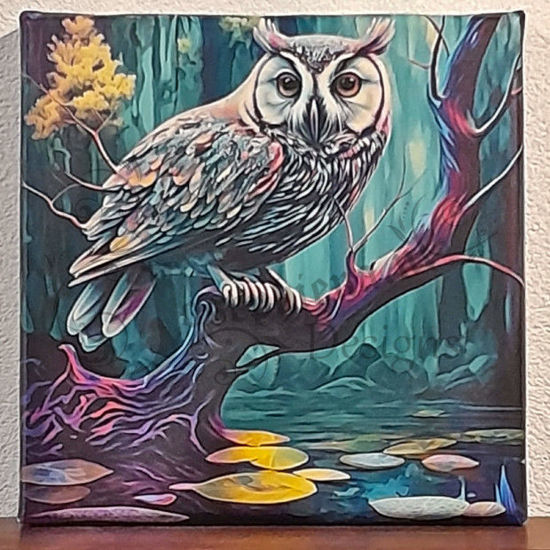 Canvas afbeelding van een uil in een moeras, 20 bij 20 cm, ideaal voor natuurliefhebbers, uniek decoratie item