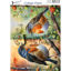 Birds #10 - Josephiena's collage paper - CP-073